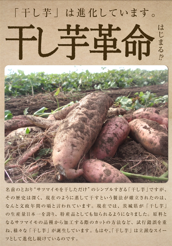 ��錧�Y �����������������Q�܃Z�b�g�@���Y������